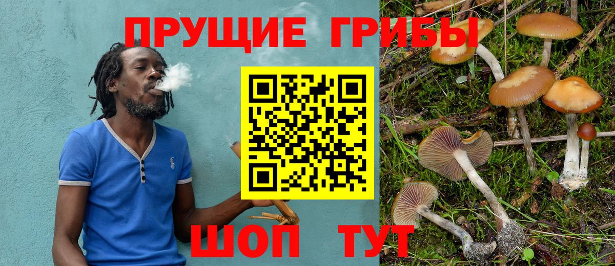 Артёмовский  Галлюциногенные грибы GOLDEN TEACHER  наркошоп  Вход с VPN 